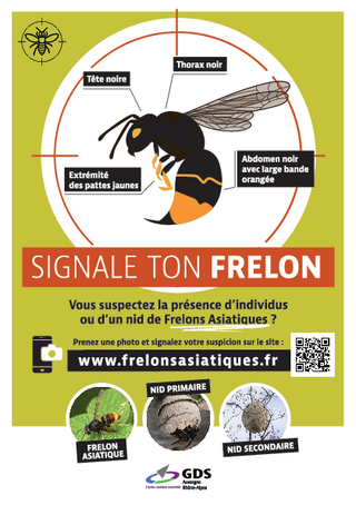 Flyers_148x210mm_www.frelonsasiatiques.fr_2023.pdf